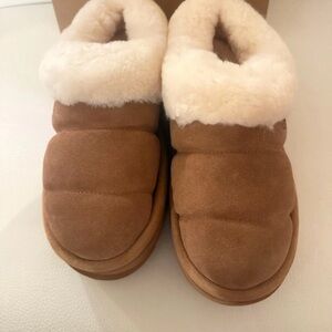 Ugg tazz Slippers with Cream Fur Lining